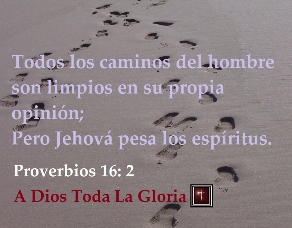 ver. prov 16.2