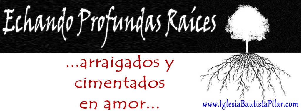 cover photo raices