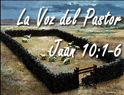 La Voz del Pastor copy