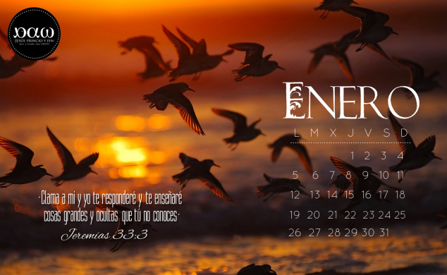 01enero_2015