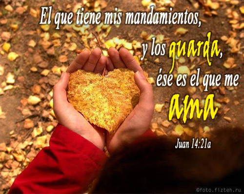 ver. juan 14.21 