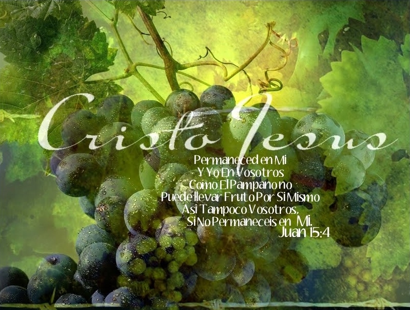 ver. juan 15.4 permaneced en mi