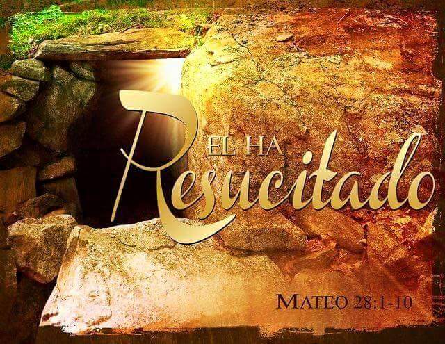 FB_IMG_1428183607119