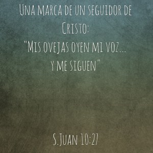 verse-juan-10-27