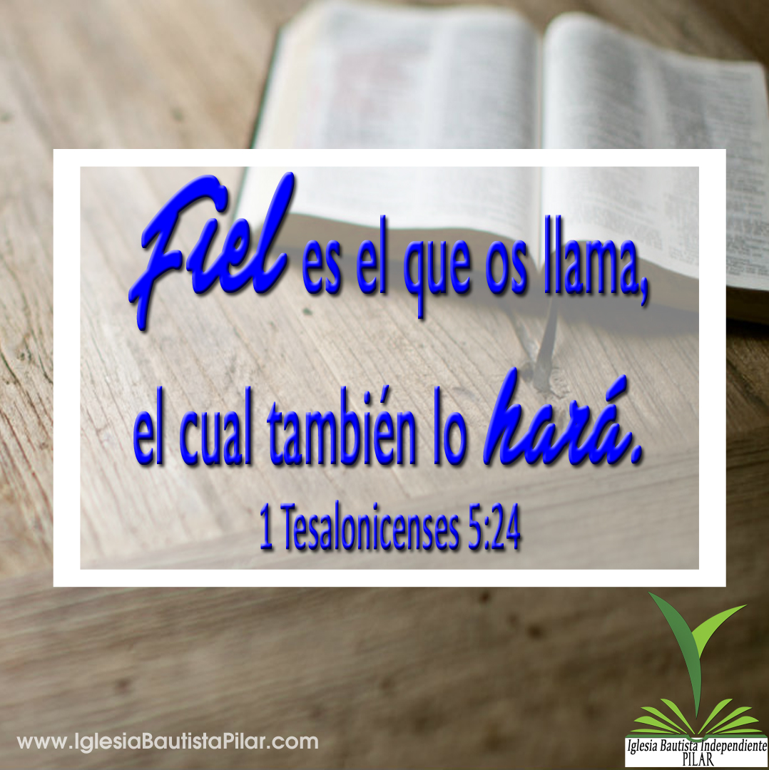 PREDICA 1TES524 copy