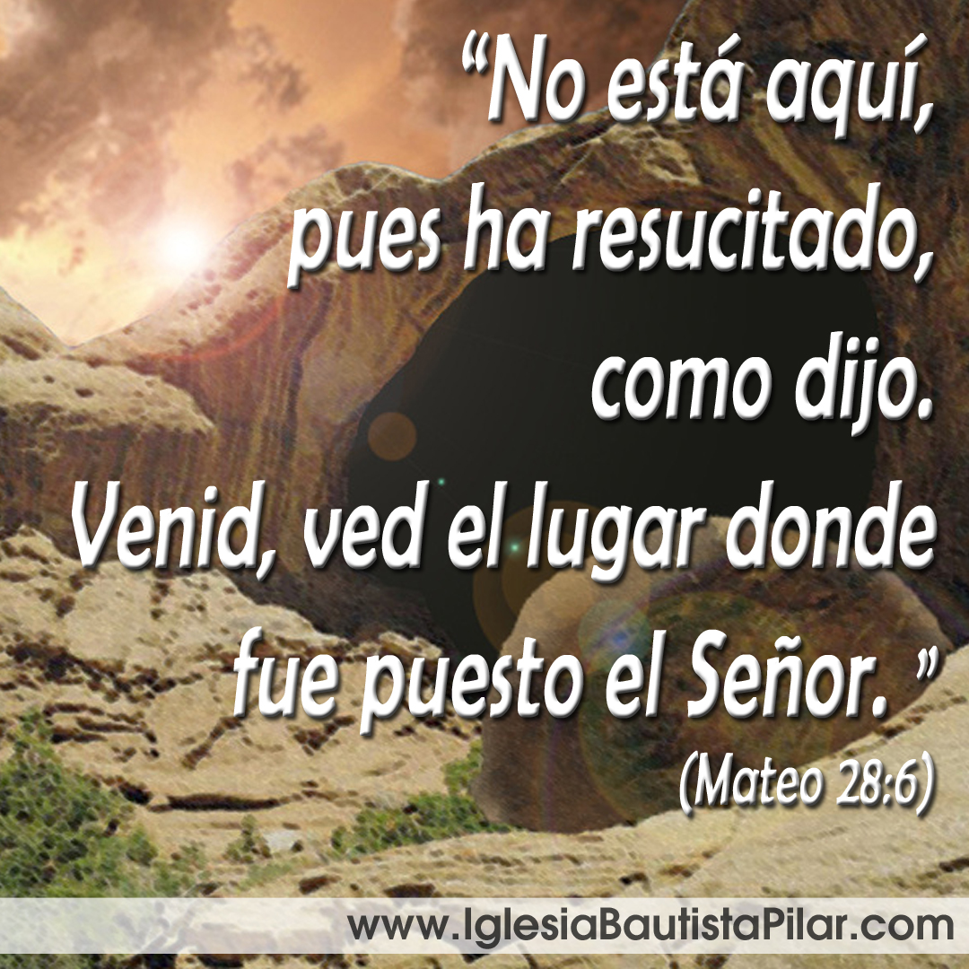 adoración mat286 copy