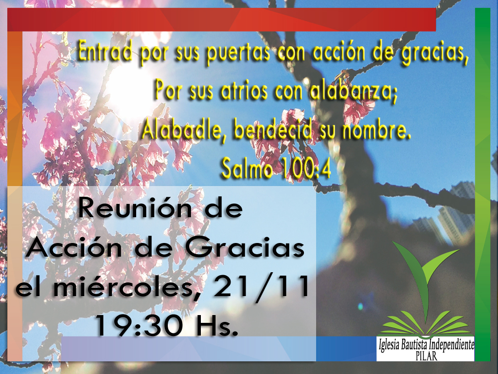 11.acción de gracias