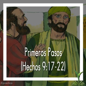 primeros pasos
